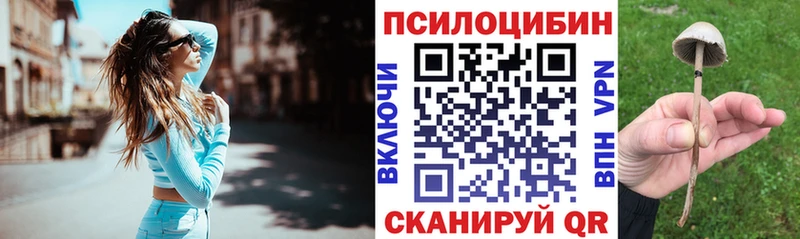 Псилоцибиновые грибы MAGIC MUSHROOMS  где купить наркоту  Старая Русса 
